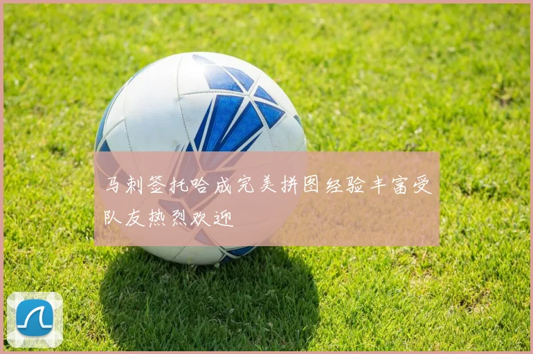 马刺签托哈成完美拼图经验丰富受队友热烈欢迎
