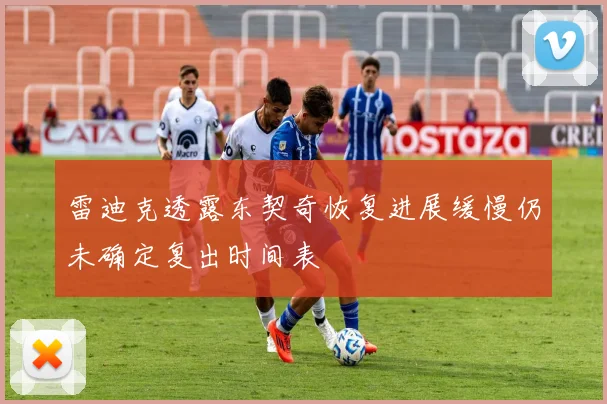 雷迪克透露东契奇恢复进展缓慢仍未确定复出时间表