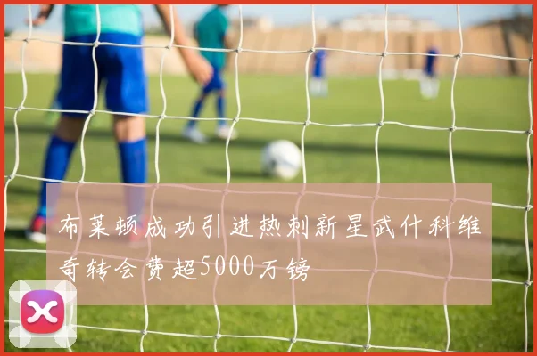 布莱顿成功引进热刺新星武什科维奇转会费超5000万镑
